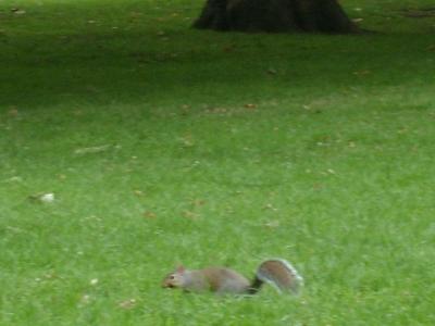 Relaxing in the park Part IV